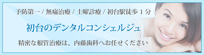 予防第一 / 無痛治療 / 土曜診療 / 初台駅徒歩1分 初台のデンタルコンシェルジュ 精密な根管治療は、内藤歯科へお任せください